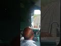 Loco Pilot Saves Cows By Applying Emergency Brakes At Right Time