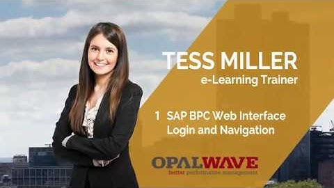 01 Opal Wave SAP BPC Web Interface Login Training