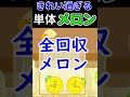 余りのないメロン単体が美しすぎる #スイカゲーム