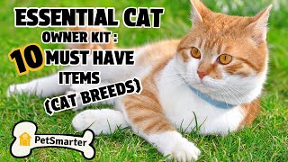 The Ultimate Cat Owner MustHave Kit