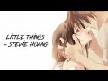 Little things 🎶  (LYRICS)|Stevie Hoang