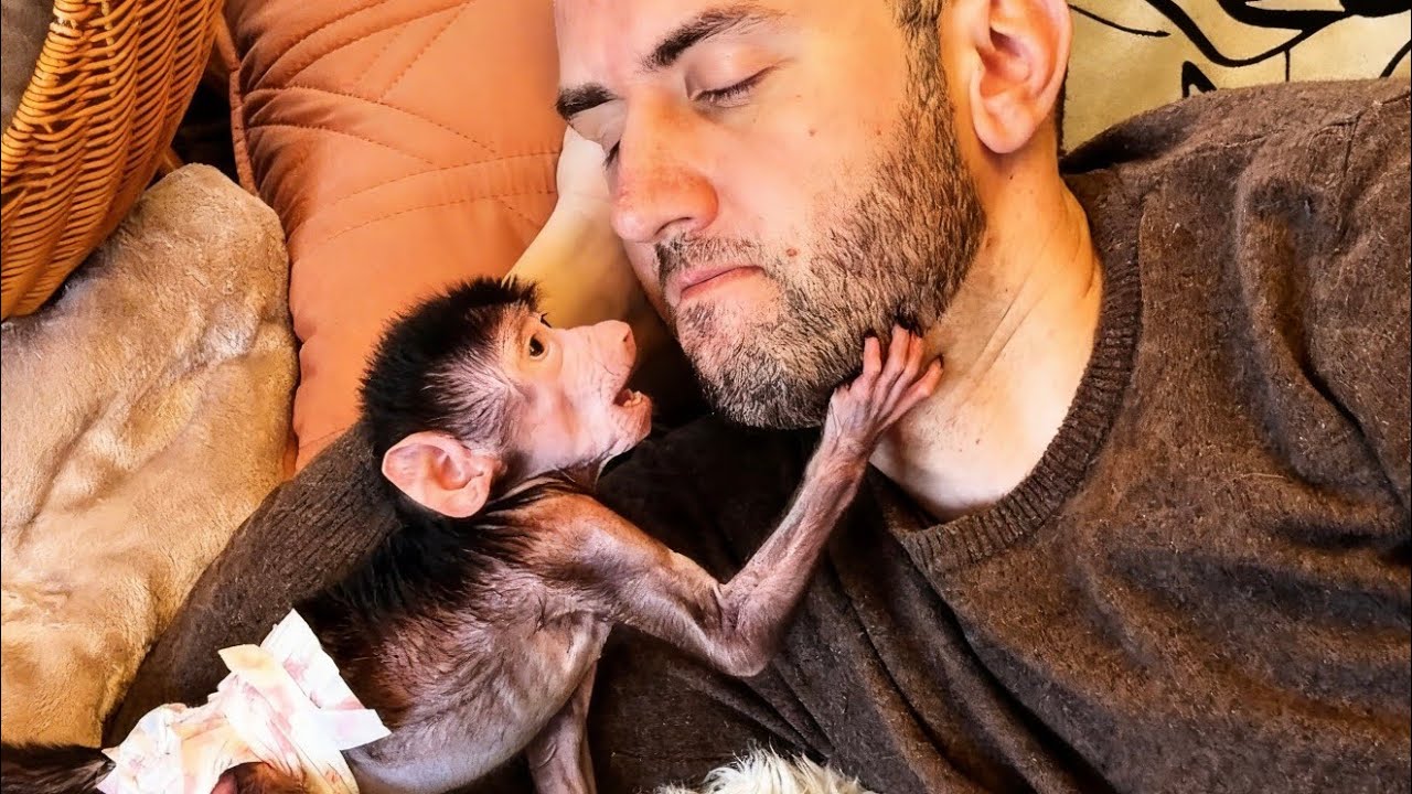 Это НАДО ВИДЕТЬ! Николь кажется ПОЛЮБИЛА Дениса! 