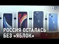 На Кубани официальные магазины Apple закрыты, но дилеры продолжают торговлю