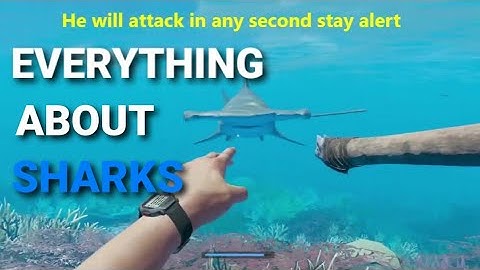 Stranded deep , everything about sharks and how to cure bleeding .