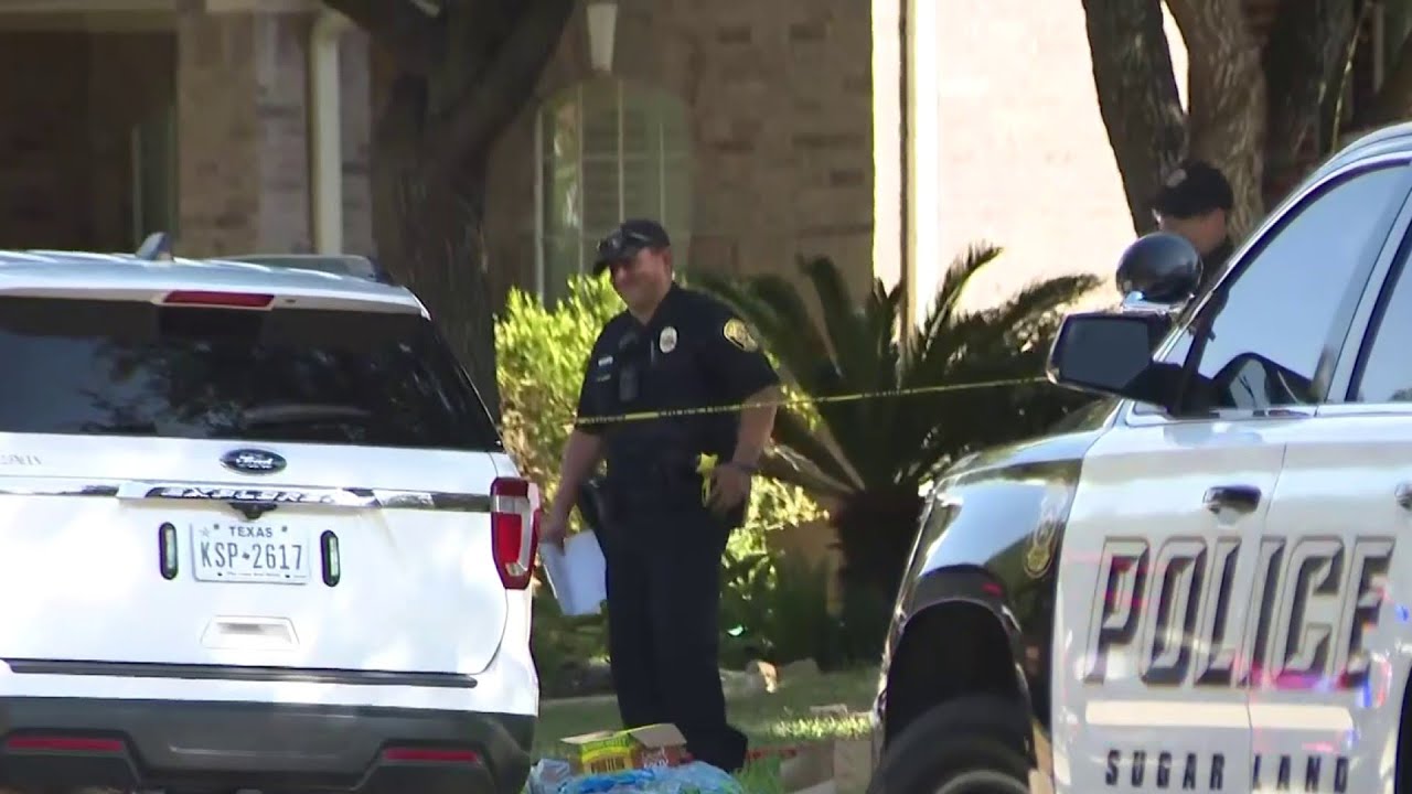 Man accused of stabbing his mother to death in Sugar Land, turns ...