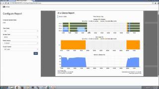 CA UIM: At a Glance Report