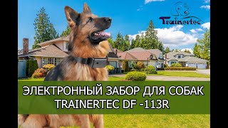 Электронный забор для собак с пультом Trainertec DF-113R