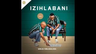 Asisahetheki Sdalo( feat Shenge wasehlalankosi) 