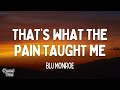 Blu Monroe That S What The Pain Taught Me Lyrics 