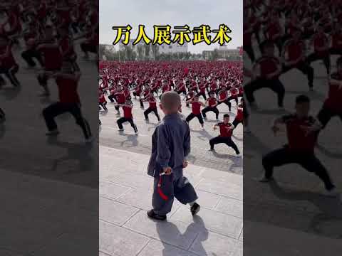 Kung Fu Monk Performing ｜Shaolin Kung Fu