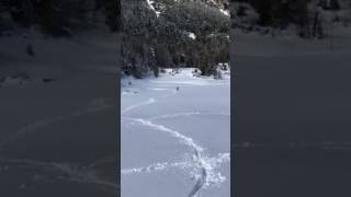 Thok E-Bike On The Snow