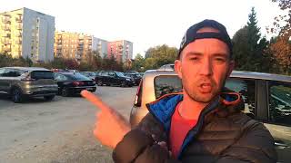 Alfakan skupinski tečaji: Varen transport psa v praksi