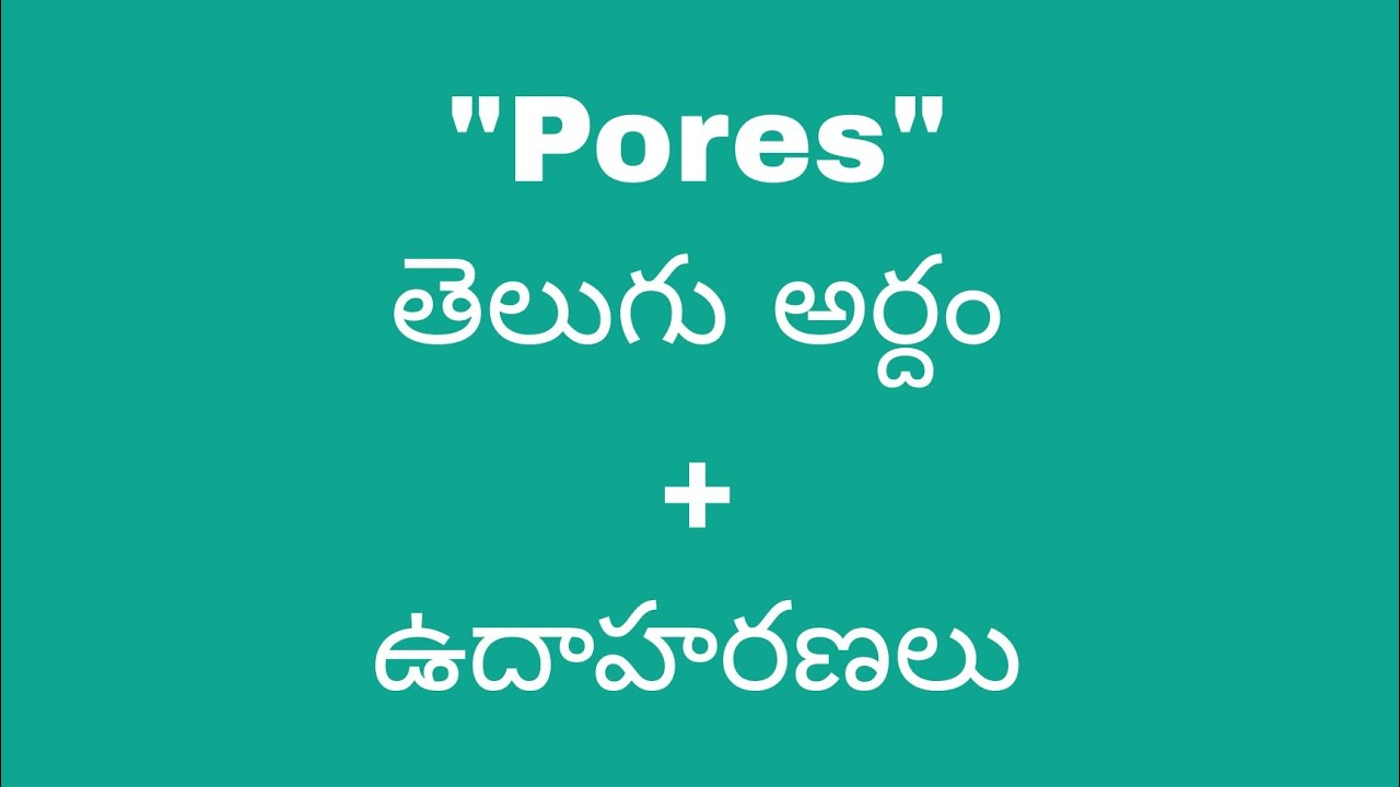 Pores Meaning In Telugu With Examples Pores Meaning pores-meaning-in-telugu-with-examples-pores-meaning