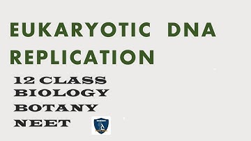 Eukaryotic  DNA  replication | Chromosomal basis of inheritance | 12 | Botany |Science Easy Tech