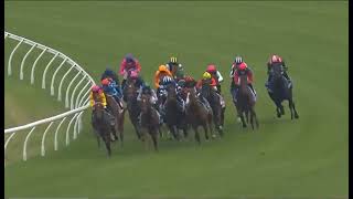 RACE 7 - RANDWICK - AUSTRALIA - 07 FEB 2026