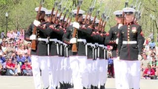 Air Force Honor Guard Drill Team at National Cherry Blossom Festival