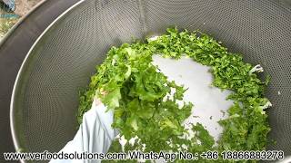 Lettuce Cutting Lifting Vortex Washing Line Ready to Delivery for USA Customer