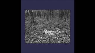 Blue Noise - Everyone Goes Away Eventually