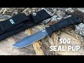 SOG Seal Pup Tactical Fighting Knife, Small Knife with a Killer Instinct!