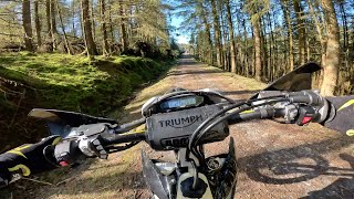 Triumph TF 250-E Is Awesome