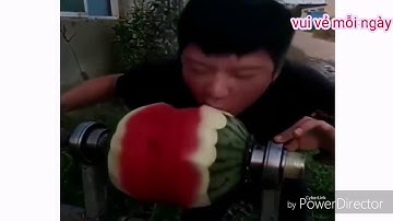 Xem mãi không chán phần 1√ |CUỘC SỐNG CỦA NHỮNG NGƯỜI CÓ IQ CAO.