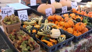 Athens Farmers Market
