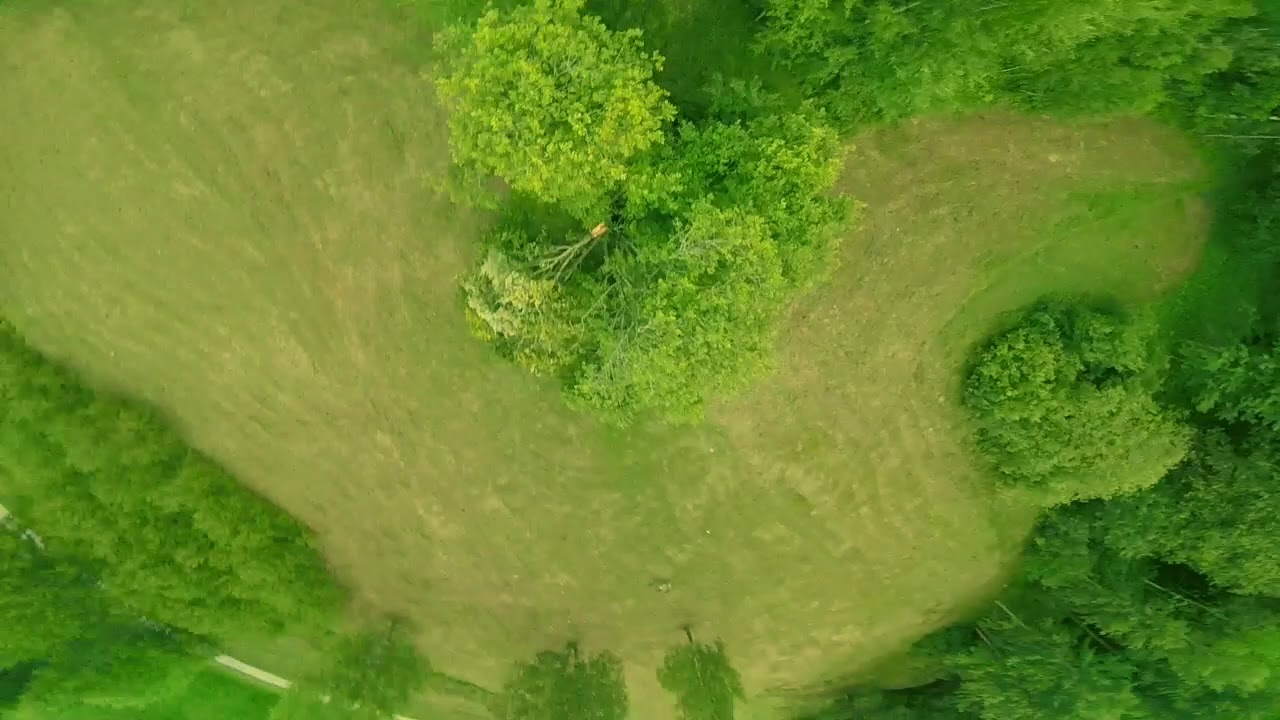 Foxeer 2206 2700 kv motors (+ I got myself a new transmitter)