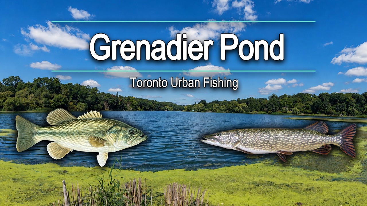 Bass and Pike Fishing at Grenadier Pond | Toronto Urban Fishing
