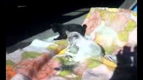 ぽっかぽか ぽっかぽか
