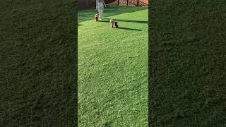 IMG 6444