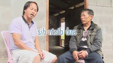 pov qaib dib tsis xav mus nyob teb chaws mis kas yog vim li cas