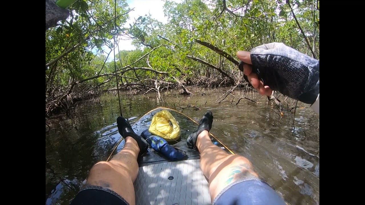 Paddle Boarding West Lake Hollywood Florida (secret trail)