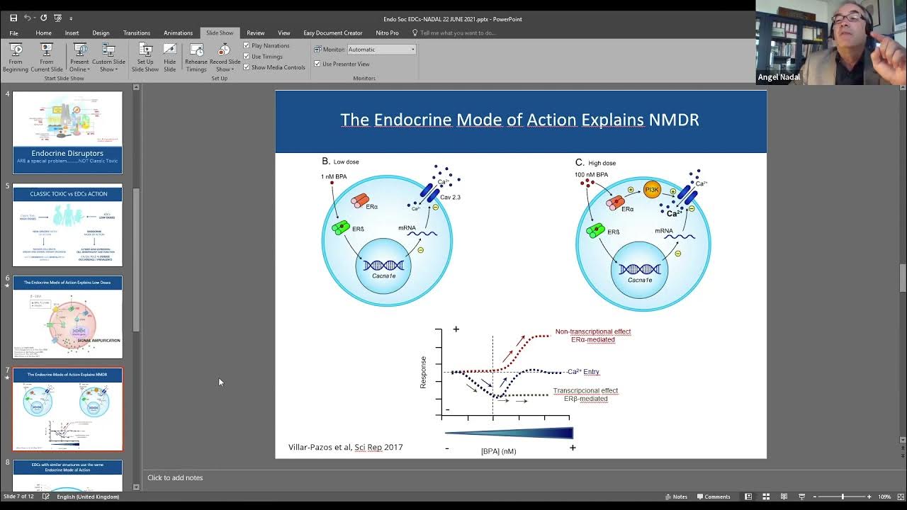 webinar New hazard classes on endocrine disruptors in CLP YouTube