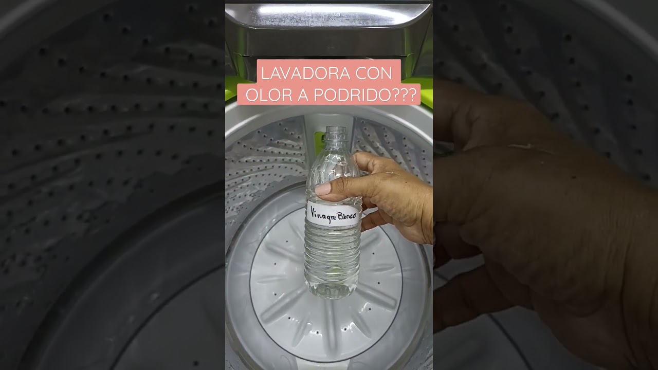 Mi lavadora apesta ¡Ayuda! - Ecolaundry