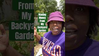I TURNED MY BACKYARD HOBBY GARDEN INTO A FOR PROFIT GARDEN | A NEW DAY HARVESTING #smallfarm #fyp