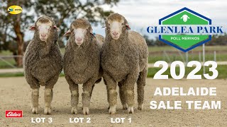 Glenlea Park 2023 Adelaide Team (4k)