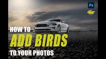 How to add Birds to your photos with Adobe Photoshop