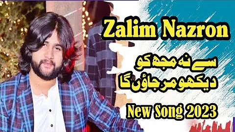 Zalim Nazron Say Na mujh Ko dekho Mer Jaon ga_Official Song Saqlain Musakhailvi_2023