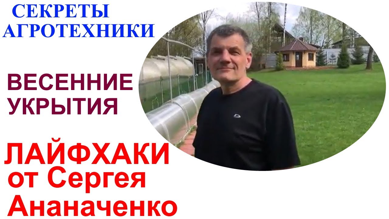 Весенние хитрости северных виноградарей или Сергей Ананченко и его укрытия для винограда.