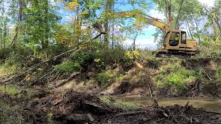 2020.10.05 - clearing the logjam from the creek