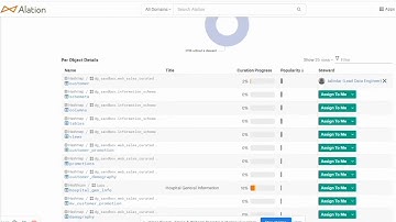 Dimensions to Review - Data Stewardship with Alation - Hashmap Megabytes Ep 43