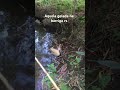 Aquela sensação boa, quando a bolinha desce.