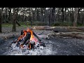  campfire in the woods with relaxing fire sounds and the sound of nature with soft singing birds