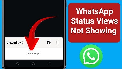 Fix WhatsApp Status Views Not Showing Problem 2025