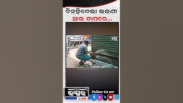 ଚିନହିଁଦେଲା ଭଉଣୀ ଆଉ ତାପରେ.... #ytshorts #odishabhaskar #shortsvideo