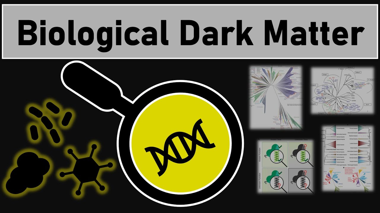 What is Biological Dark Matter?