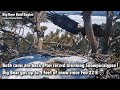 FOBBV CAM🦅Both Cams Are Back After Snowpocalypse❗️Big Bear Got Up To 9 Feet Of Snow❄️2023-03-03