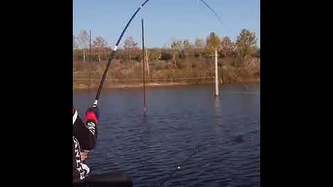 CẦN CÂU TAY HANDING ĐIẾU VƯƠNG