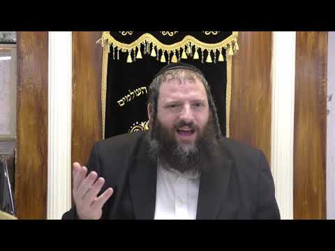 דבר תורה לפרשת ויצא ממי השילוח - לעבוד את השם עם כבשים