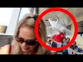 Seagull Goes After Wife!